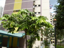 Blk 168 Toa Payoh Green (Toa Payoh), HDB 3 Rooms #398352